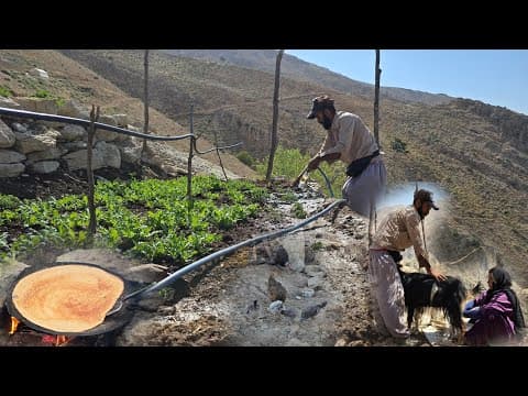 Daily life of nomads | From milking sheep to baking local bread and gardening