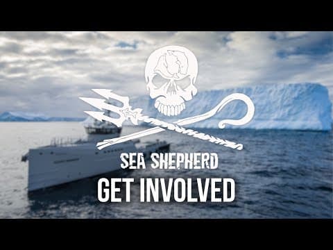 Part-Time Heroes Excerpt - Get Involved