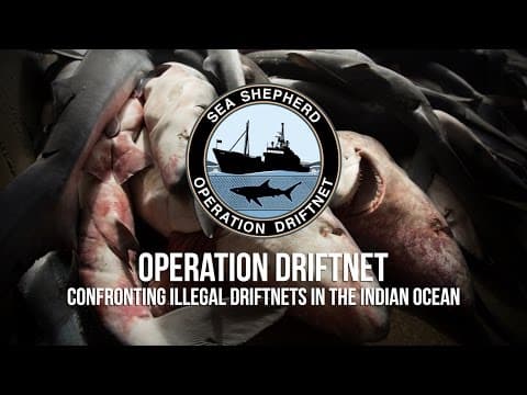 Shocking Footage of Illegal Fishing in the Indian Ocean