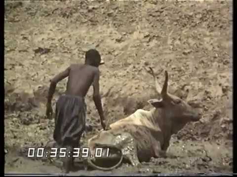 The Sahel droughts