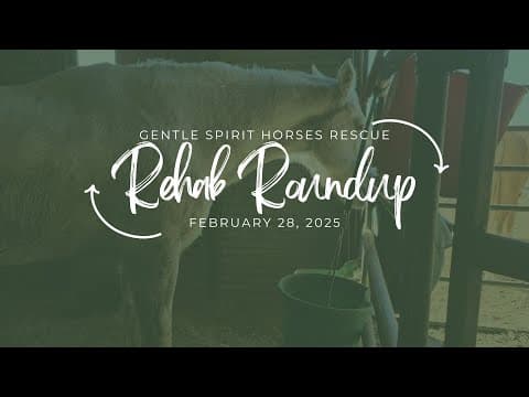 Rehab Roundup February 28, 2025 - check in on rehab horses at Gentle Spirit Horses Rescue