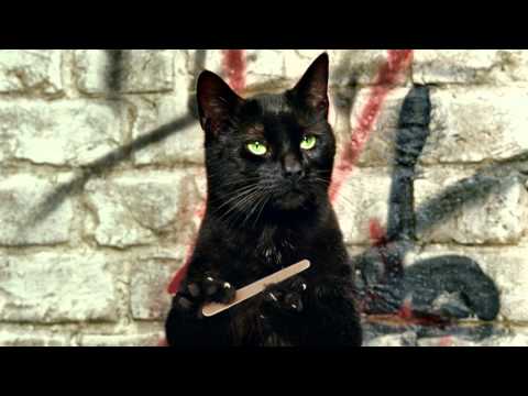 Cravendale "Cats With Thumbs"
