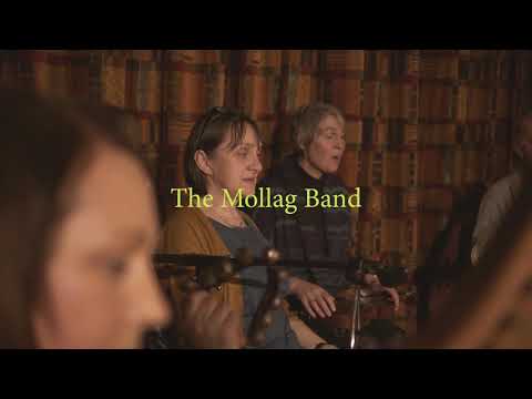 The Mollag Band