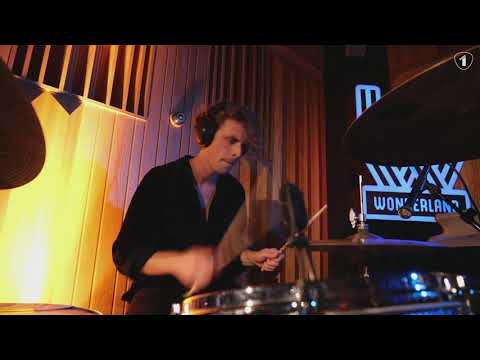 NORDMANN - STAR / FLUFF
