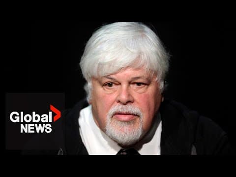 Paul Watson: Can the environmental activist get out of jail yet again?