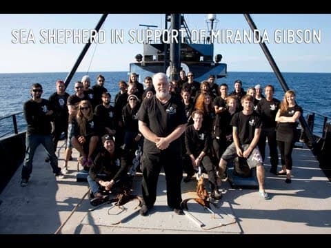 Sea Shepherd Supports Miranda and Tasmanian Forests.