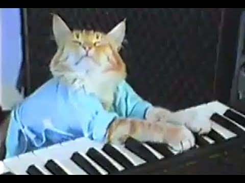 46 · Keyboard Cat! - THE ORIGINAL!