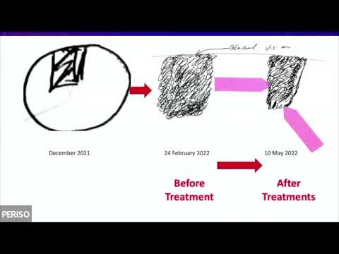 ICDT - First International Congress of Diamagnetic Therapy - Yoon Kam Hon