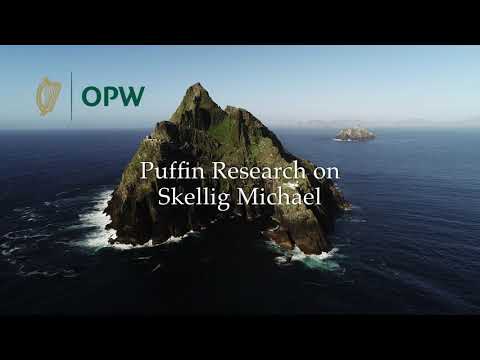 Seabird Research on Skellig Michael