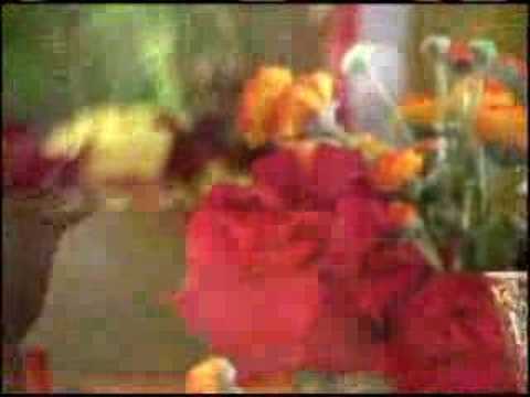 Beachwood Sparks - By Your Side