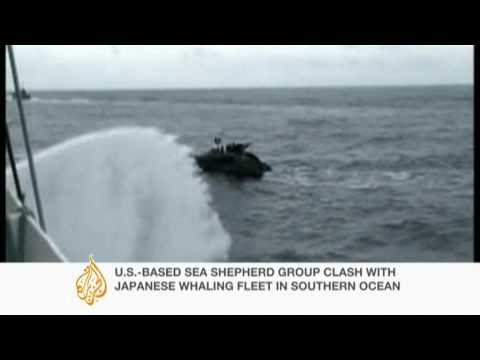 High stakes whaling standoff on the high seas - 07 Jan 10