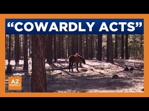 Advocates seek answers after 9 wild horses killed in Arizona forest