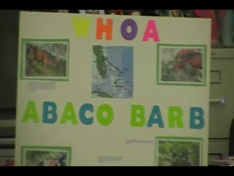 Olivia Whitten Presentation on The Wild Horses of Abaco.