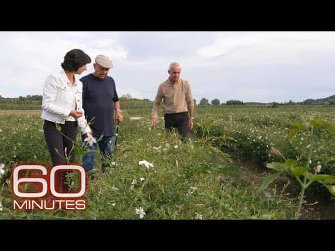 Inside the flower fields of Grasse for Chanel No.5