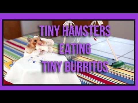 Ep. 1 - Tiny Hamster Eating Tiny Burritos