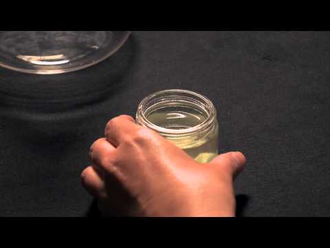 Iron gall ink: a quick method