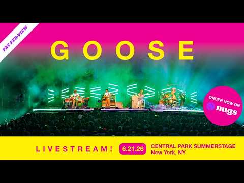 Goose — live at the festivals