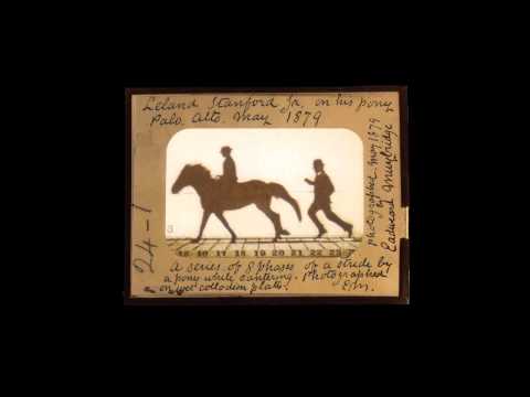 Eadweard Muybridge: Leland Stanford Jr.