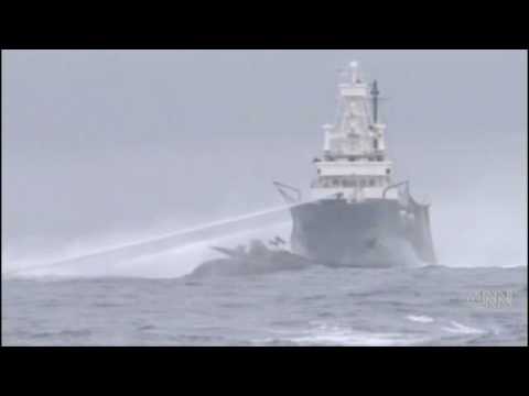 'Whale Wars' ship hits whaler