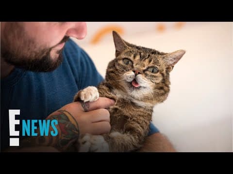 Internet Sensation Lil Bub Dies at Age 8 | E! News