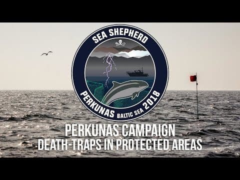 Perkunas Campaign: Death Traps in Protected Areas