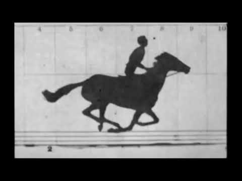 1st Movie (Motion Picture) - Sallie Gardner at a Gallop (1878) Eadward Muybridge | Frame-by-Frame