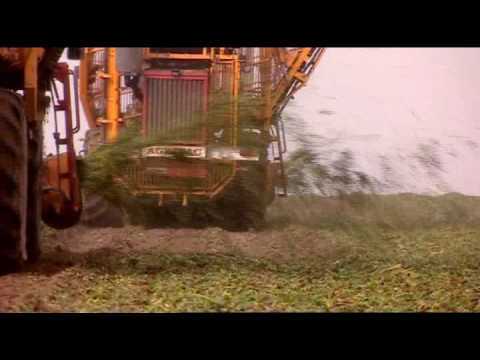 The Tiense Suikerraffinaderij (part 1)