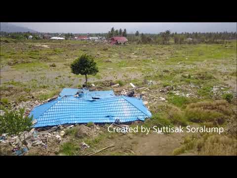 The 2018 Palu earthquake