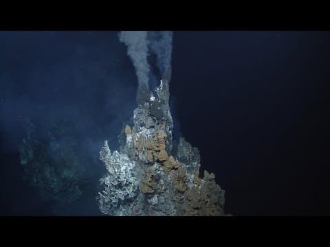 Giant black smoker hydrothermal vent