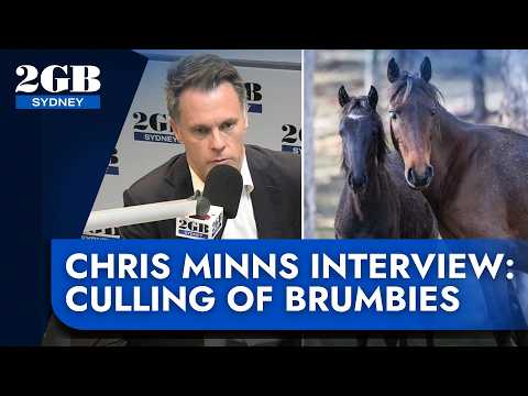 EXCLUSIVE | NSW Premier Chris Minns responds to the culling of brumbies