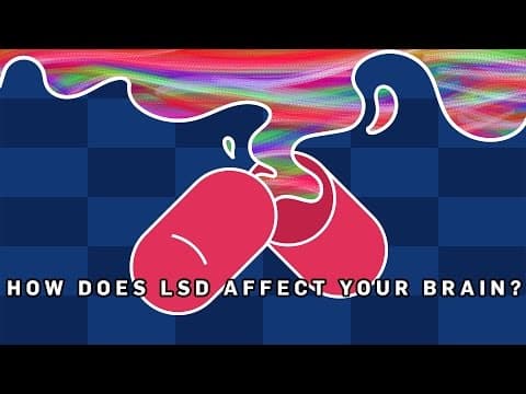 What Does LSD Do to Your Brain? | BBC Earth