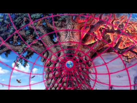 Alex Grey