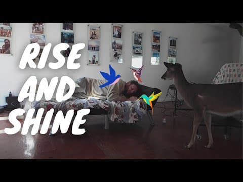 Deer Wakes Up Disney Princess