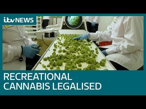 ITV: Canada becomes the largest country to legalise cannabis