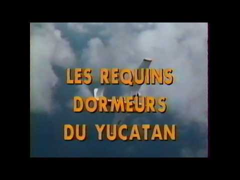 VHS Planète Cousteau - Les requins dormeurs du Yucatan