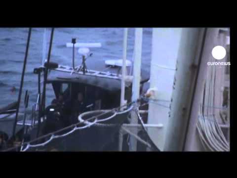 Japan forced to end Antarctic whale hunt