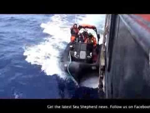 Actress Michelle Rodriguez training to become Sea Shepherd crew member