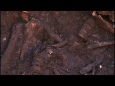 Richard III: one of the great archaeological discoveries