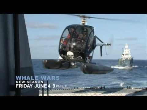 Whale Wars Season 3 Preview - Animal Planet
