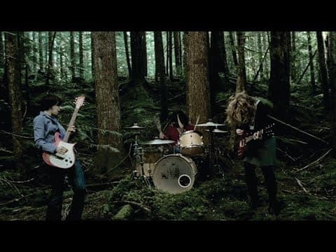 Sleater-Kinney - Entertain