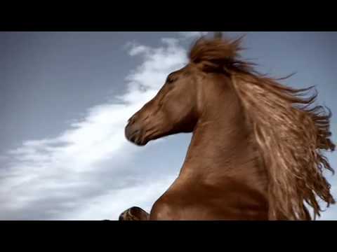VOYAGE_D'HERMES_40S_VF.mov