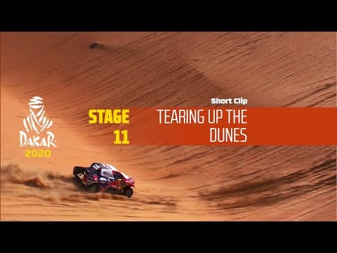 Dakar 2020 - Stage 11 - Tearing up the dunes