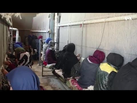 ایجاد مراکز قالین‌بافی برای زنان