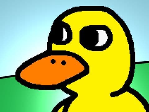 29 · The Duck Song