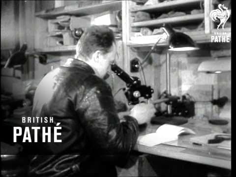 Soviet Explorers In Antarctic (1957)