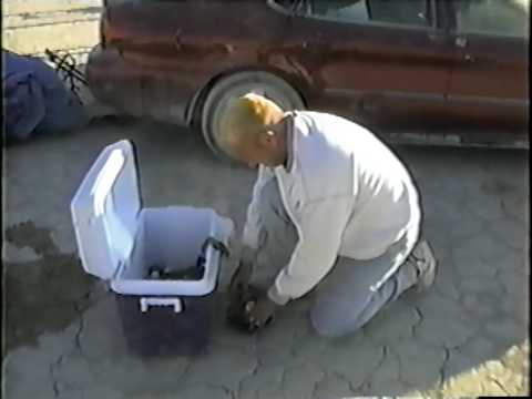 Breakfast at Camp Charlie, 2002
