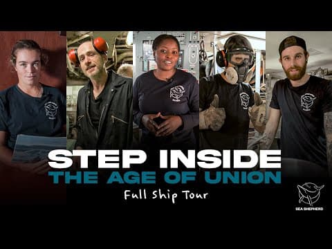 Step Inside the Age of Union!