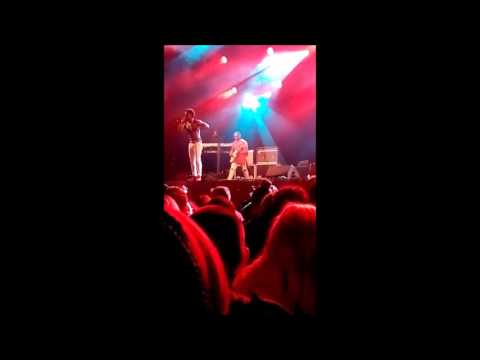 reggae geel 2017