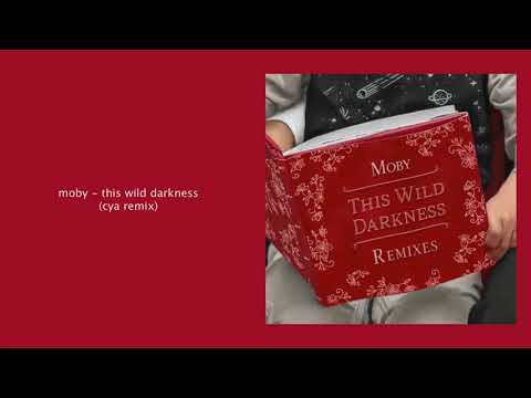 Moby - This Wild Darkness (CYA Remix)