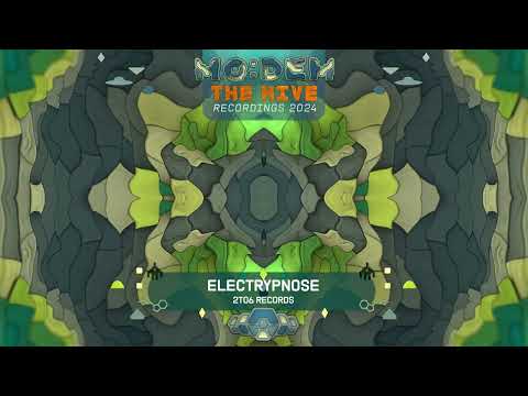 Electrypnose at The Hive stage